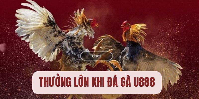 Nhiều phần thưởng lớn khi tham gia cá cược