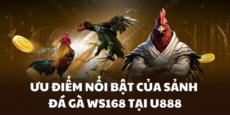 Những điểm vượt trội của sảnh Đá Gà WS168 tại U888