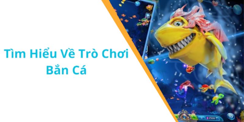 Đôi nét tổng quan về hình thức bắn cá thú vị